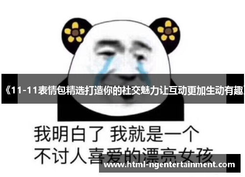 《11-11表情包精选打造你的社交魅力让互动更加生动有趣》