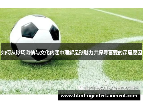 如何从球场激情与文化内涵中理解足球魅力并探寻喜爱的深层原因